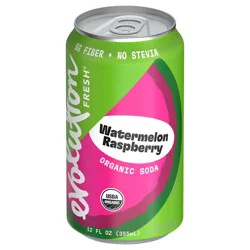 Evolution Fresh® Organic Watermelon Raspberry Soda, 12 fl oz