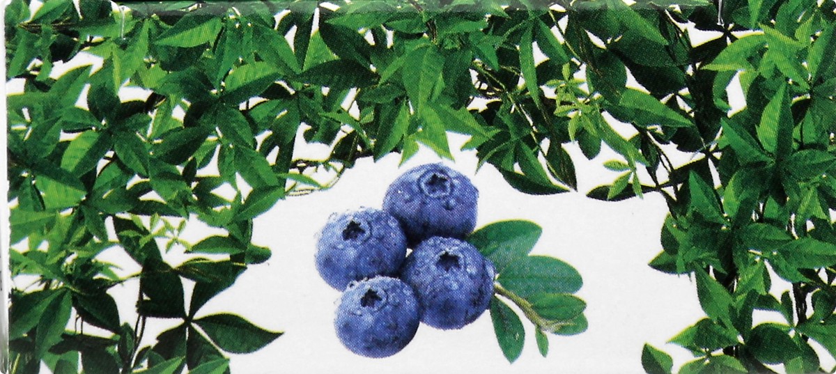 slide 9 of 12, Nailtopia Blueberry Cuticle Renewer 12 ml, 12 ml