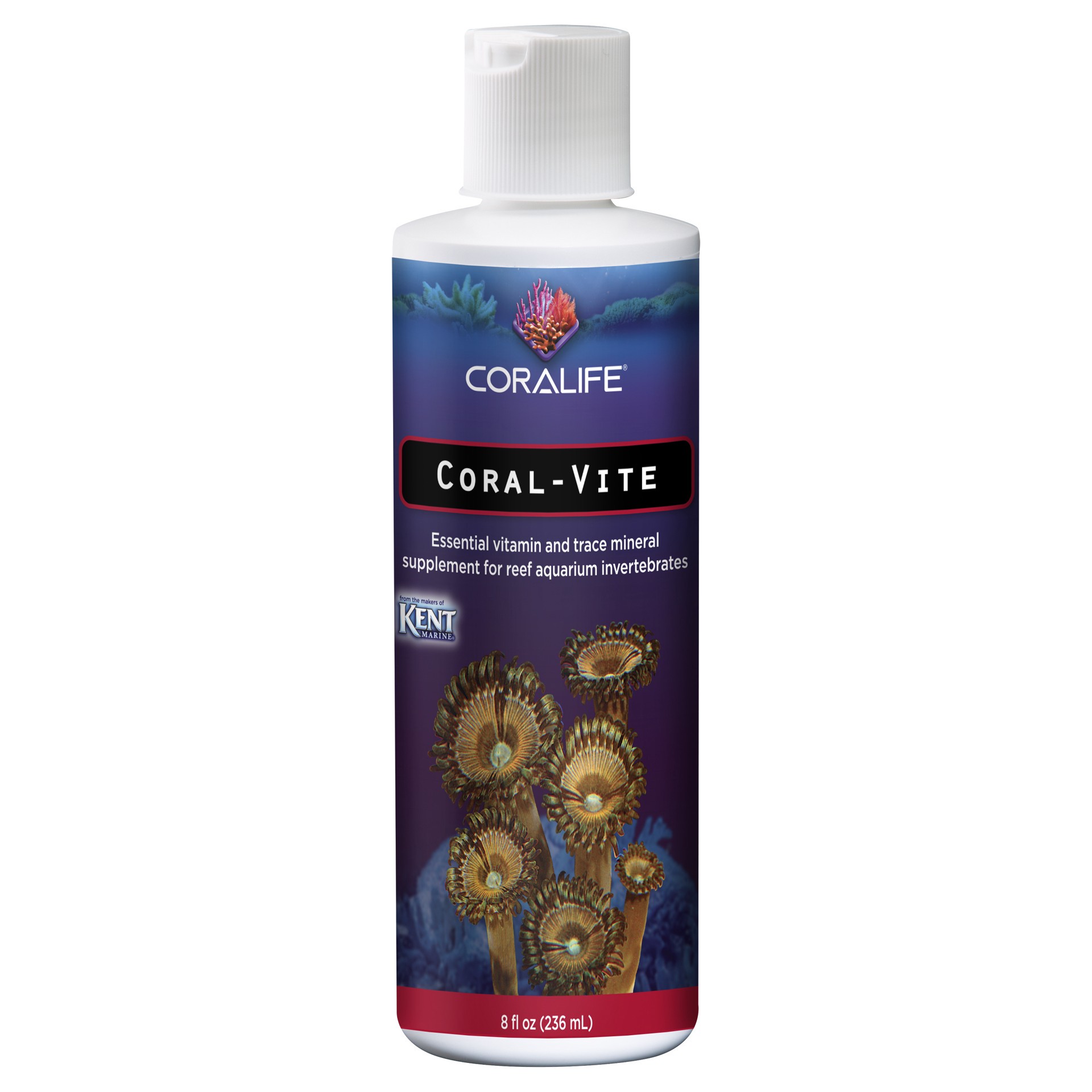 slide 3 of 4, Coralife Coral Vite Liquid 8 oz, 1 ct