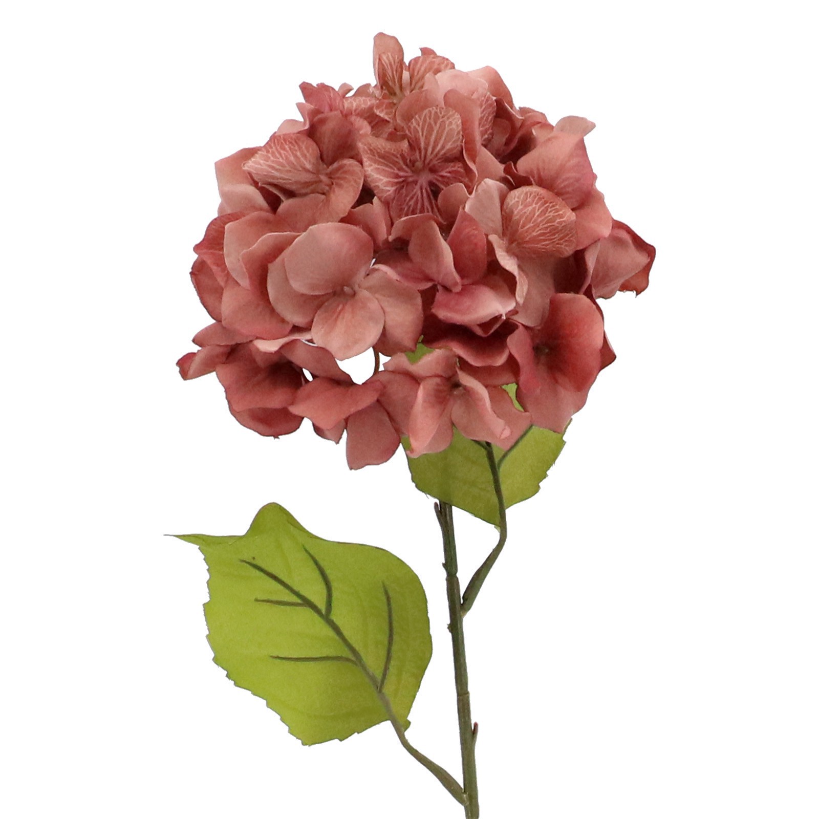 slide 2 of 2, Blush Hydrangea Stem By Ashland, 10 in x 8 in x 28 in
