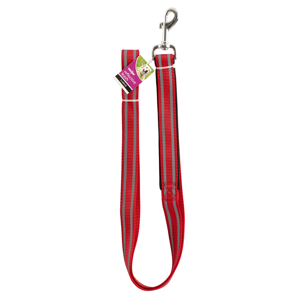 slide 1 of 1, Meijer Reflective Dog Leash, Red, Large, 1 ct