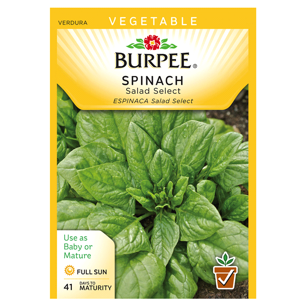 slide 1 of 1, Burpee Spinach, Salad Select, 1 ct