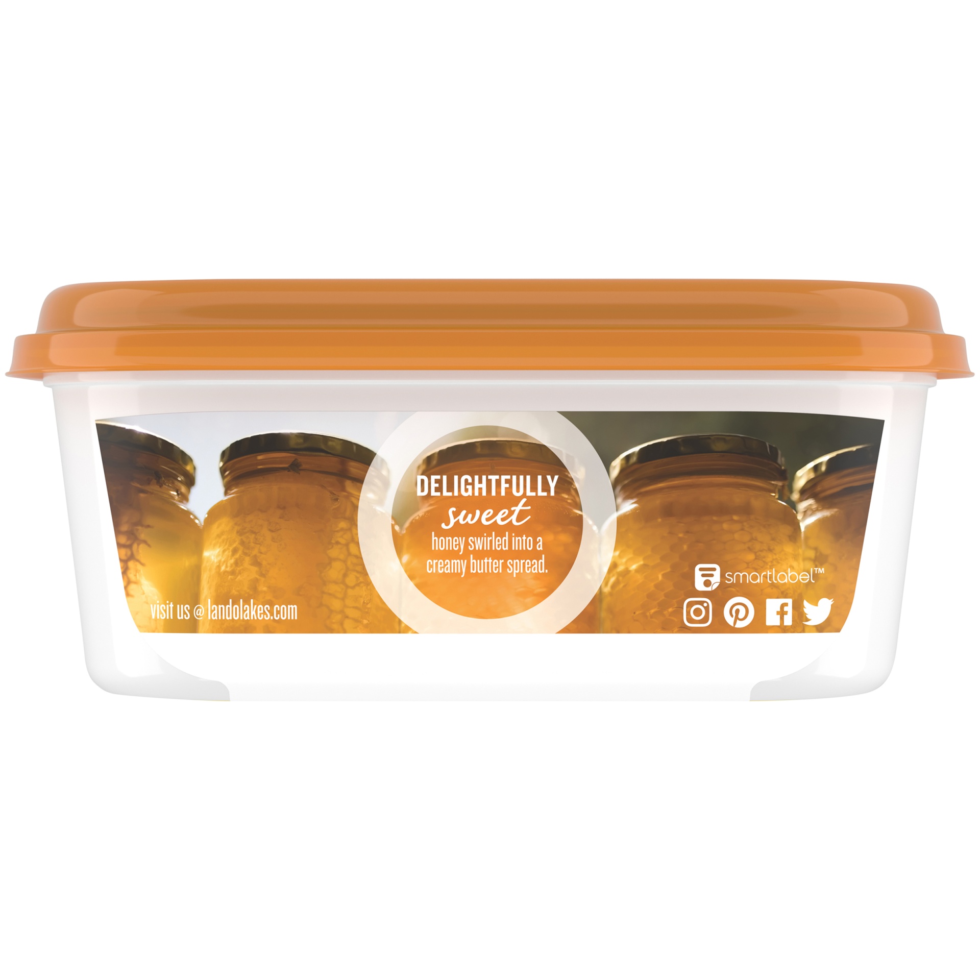 slide 4 of 6, Land O'Lakes Honey Butter Spread, Spreadable, 6.5 oz