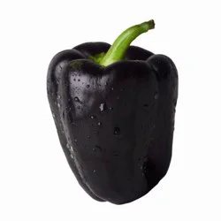 Fresh Purple Bell Peppers