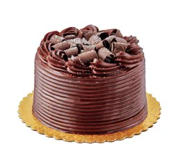H-E-B Bakery Chocolate Fudge Cake