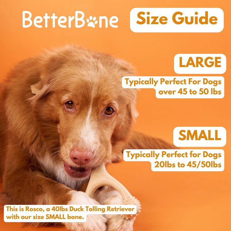 slide 7 of 7, BetterBone Hard Beef Nylon Free Dog Bone Chew Toy - S, 1 ct