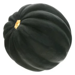 Squash Acorn