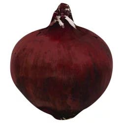 Produce Organic Red Onion