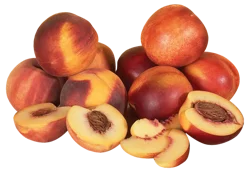 Organic Nectarines