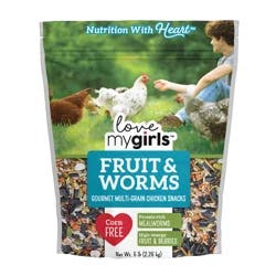 Audubon Park Fruit & Worms Chicken Snack Bird Food