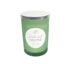 HD Designs Fresh Cut Eucalyptus Jar Candle