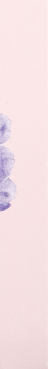 slide 8 of 9, Vince Camuto Rollerball Fiori Eau De Parfum 0.2 oz, 0.2 oz