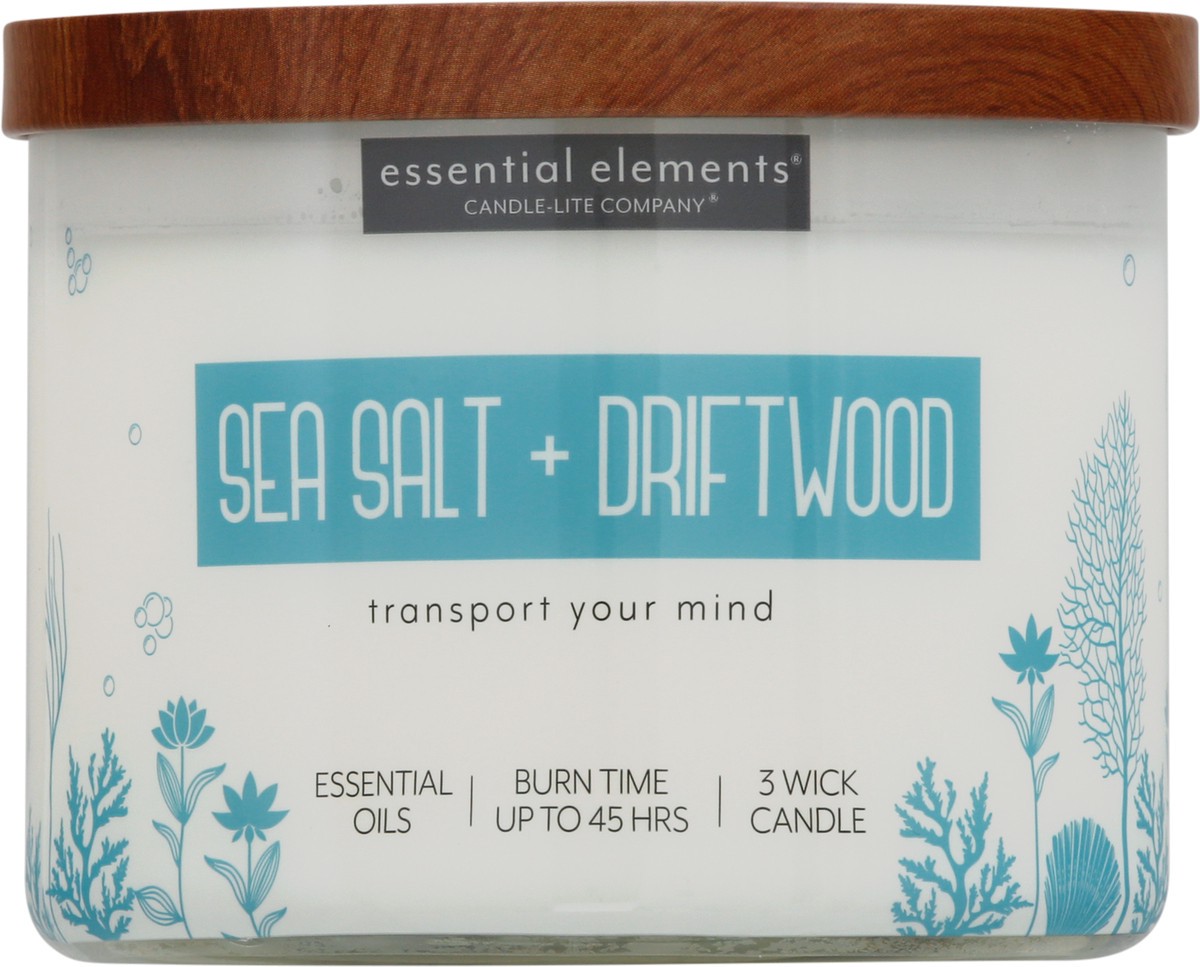 slide 5 of 9, Essential Elements Sea Salt + Driftwood Candle 1 ea, 1 ct