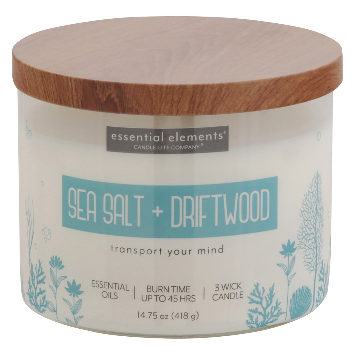 slide 1 of 9, Essential Elements Sea Salt + Driftwood Candle 1 ea, 1 ct