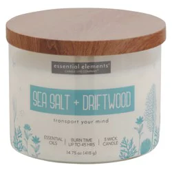 Essential Elements Sea Salt + Driftwood Candle - 1 ea