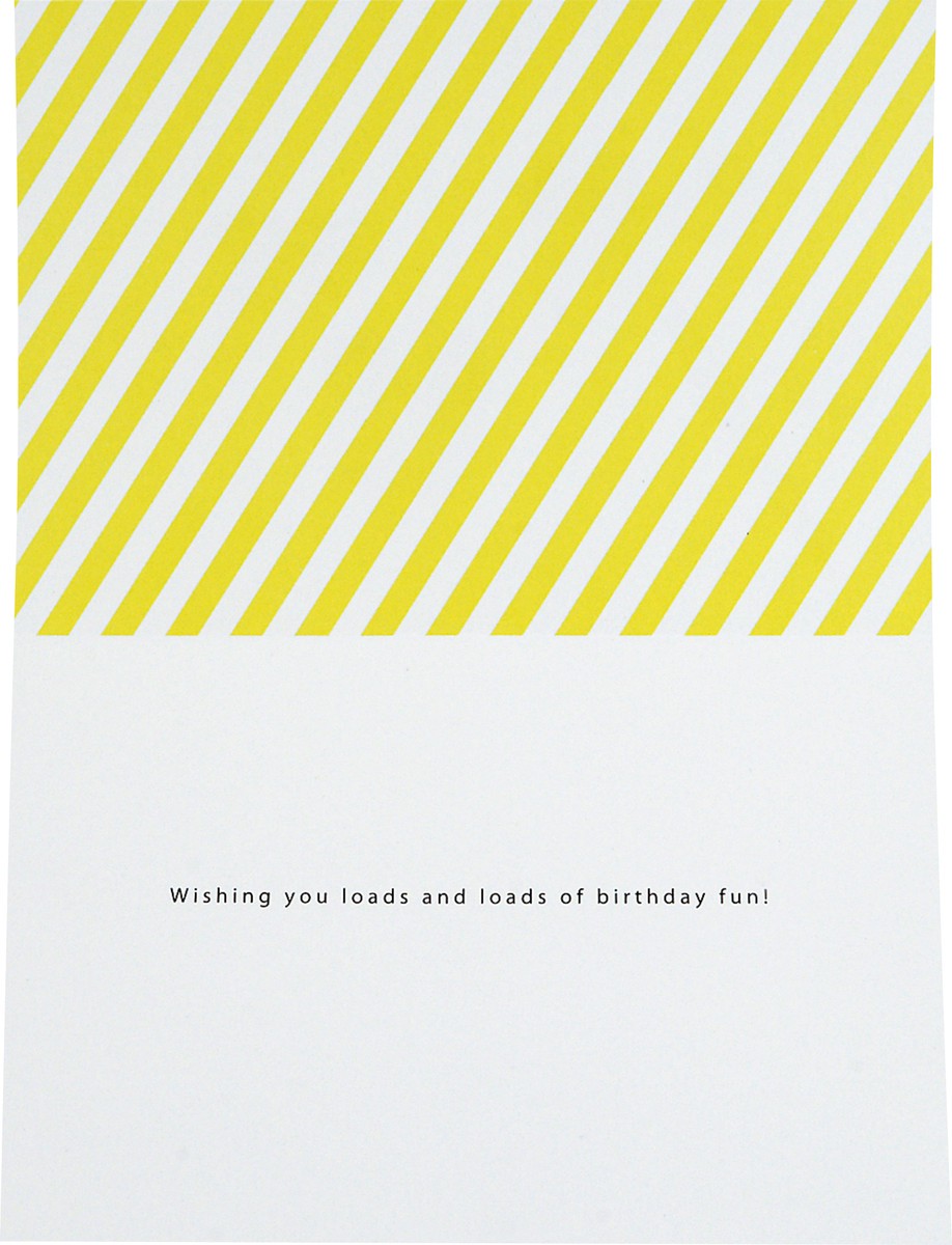 slide 3 of 6, Signature Hallmark Signature Birthday Card (Loads of Birthday Fun), 1 ct