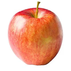 Gala Apple Large