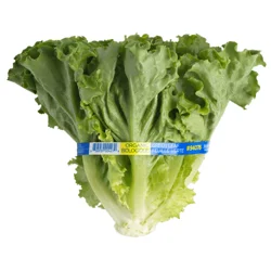 FRESH FROM MEIJER Organic Green Leaf, Bunch