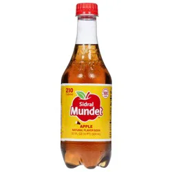 Sidral Mundet Apple Soda - 524 ml