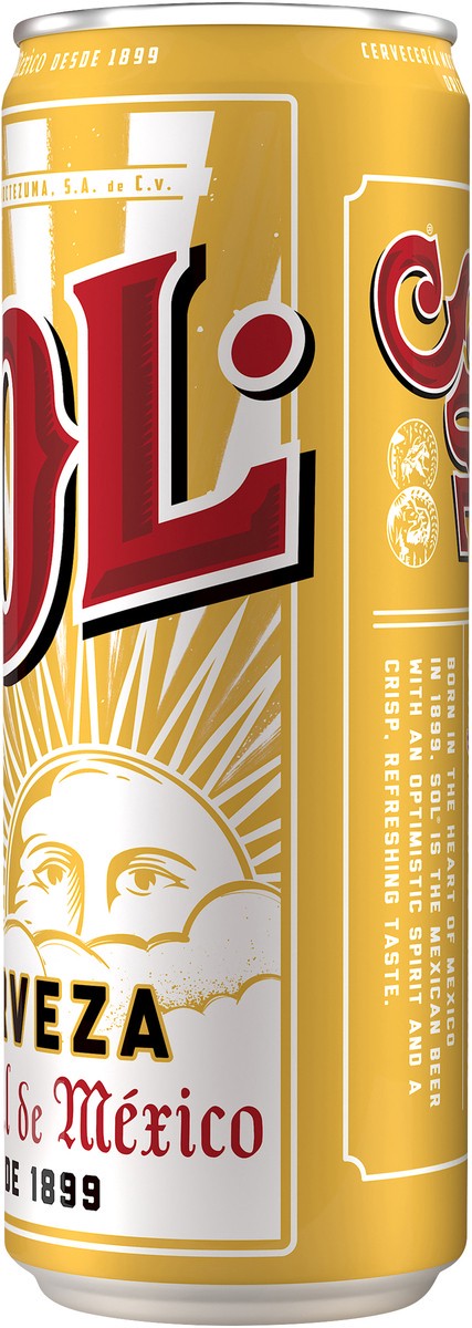 slide 4 of 10, Sol Beer, 24 fl oz