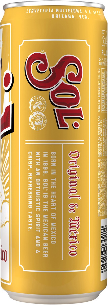 slide 9 of 10, Sol Beer, 24 fl oz