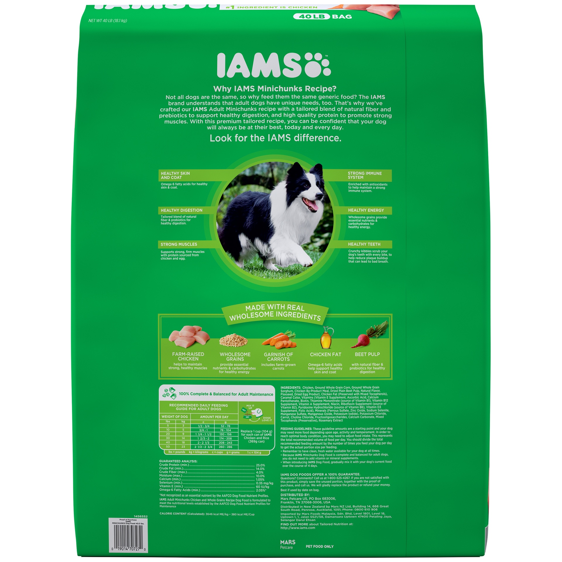 IAMS Adult Minichunks Small Kibble High Protein Dry Dog Food with Real Chicken 40 lb Shipt