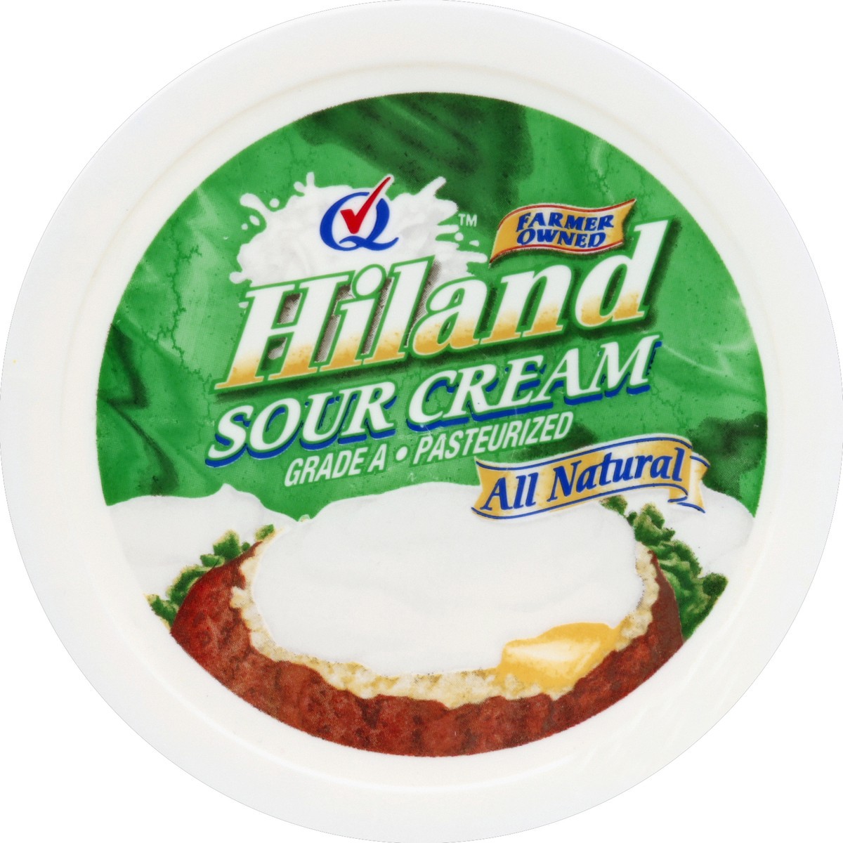 slide 6 of 6, Hiland Dairy Sour Cream 16 oz, 16 oz