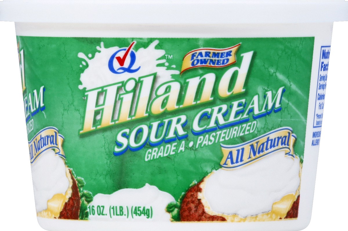 slide 2 of 6, Hiland Dairy Sour Cream 16 oz, 16 oz