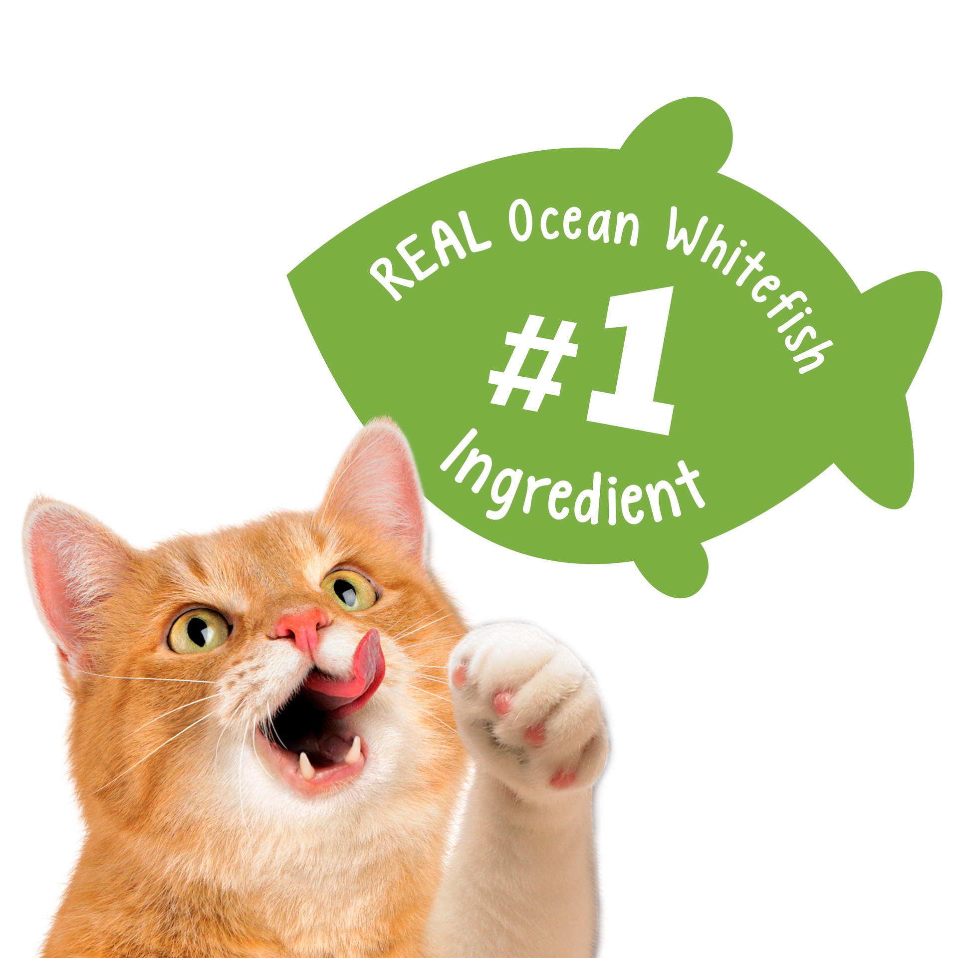slide 3 of 12, Friskies Party Mix Treasure Island Crunch Cat Treats, 20 oz