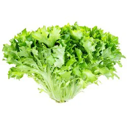 Escarole