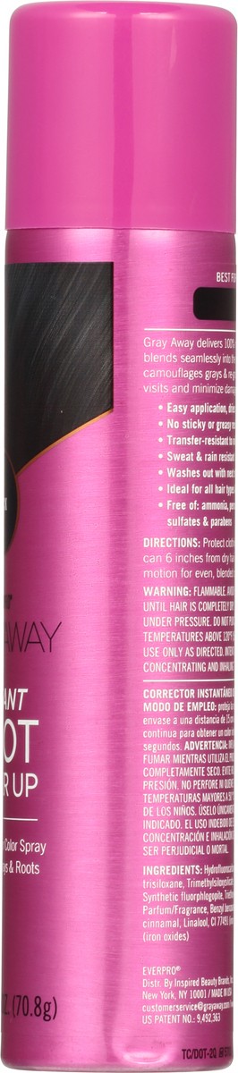 slide 2 of 13, Everpro Gray Away Black Temporary Hair Color Spray 2.5 oz, 2.5 oz
