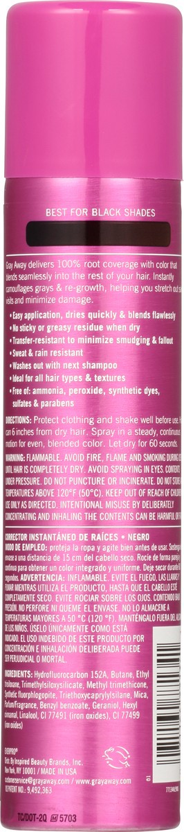slide 12 of 13, Everpro Gray Away Black Temporary Hair Color Spray 2.5 oz, 2.5 oz