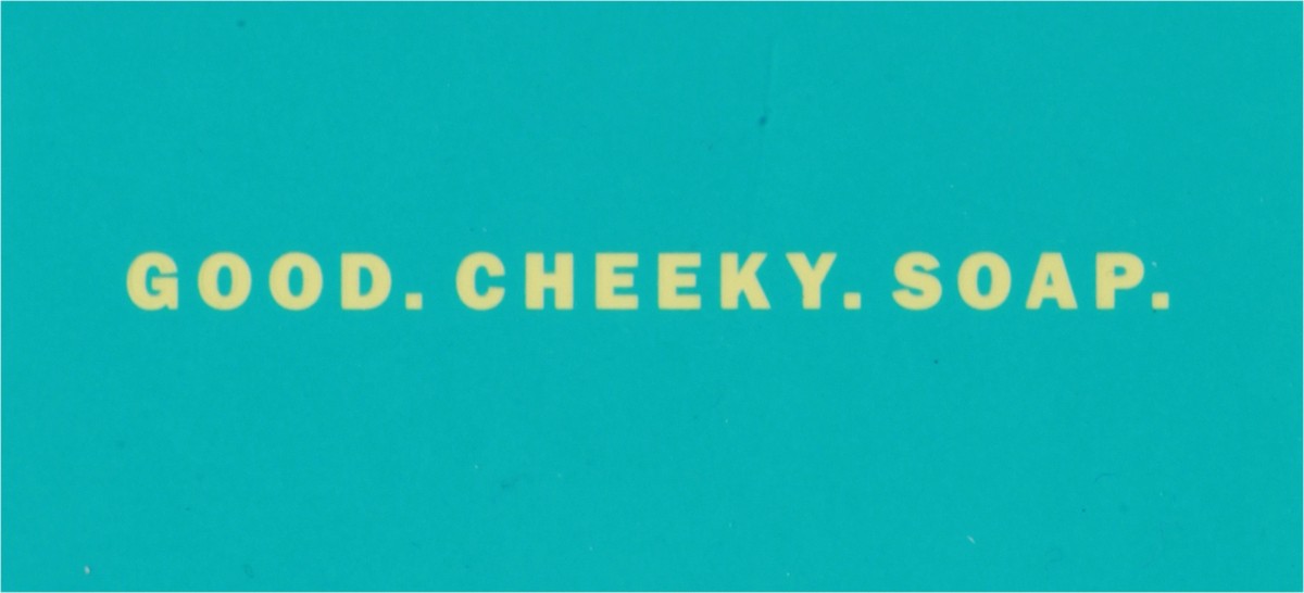 slide 5 of 9, Nudy Rudy Soap, Plant Oil, Wasabi Pear, 4.2 oz