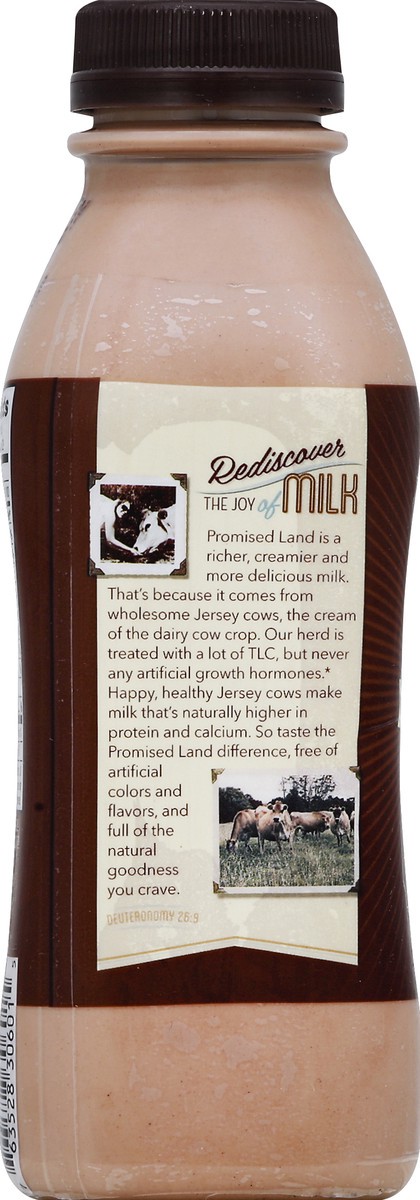 slide 5 of 5, Promised Land Milk 14 oz, 14 oz