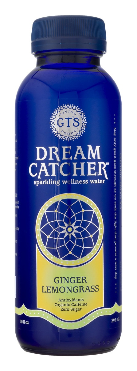 slide 1 of 1, GT's Dream Catcher Sparkling Wellness Water Ginger Lemongrass - 10 fl oz, 10 fl oz