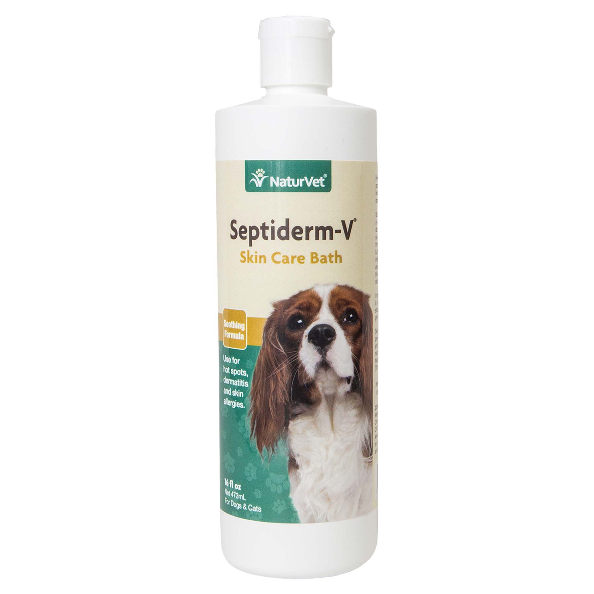 slide 1 of 1, Septiderm-V-V Antiseptic Skin Care Bath Grooming Shampoo for Dogs, Cats & Horses, 16 fl oz