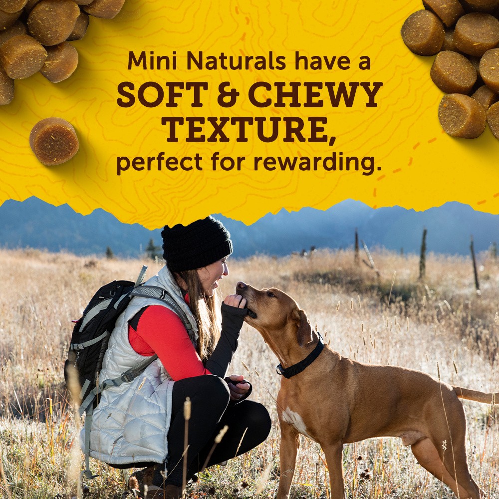 slide 3 of 9, Zuke's Zuke’s Mini Naturals Dog Training Treats for Dogs of All Sizes, Pet Treats made with Real Chicken - 10 oz. Pouch, 10 oz