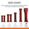 slide 7 of 7, Nylabone Essentials Medium Big Chicken Flavor Dog Toy 1 ea, 1 ct