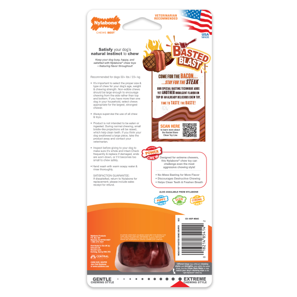 slide 3 of 7, Nylabone Essentials Medium Big Chicken Flavor Dog Toy 1 ea, 1 ct