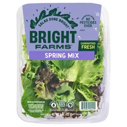 Bright Farms BrightFarms Spring Mix Lettuce, 4oz Salad