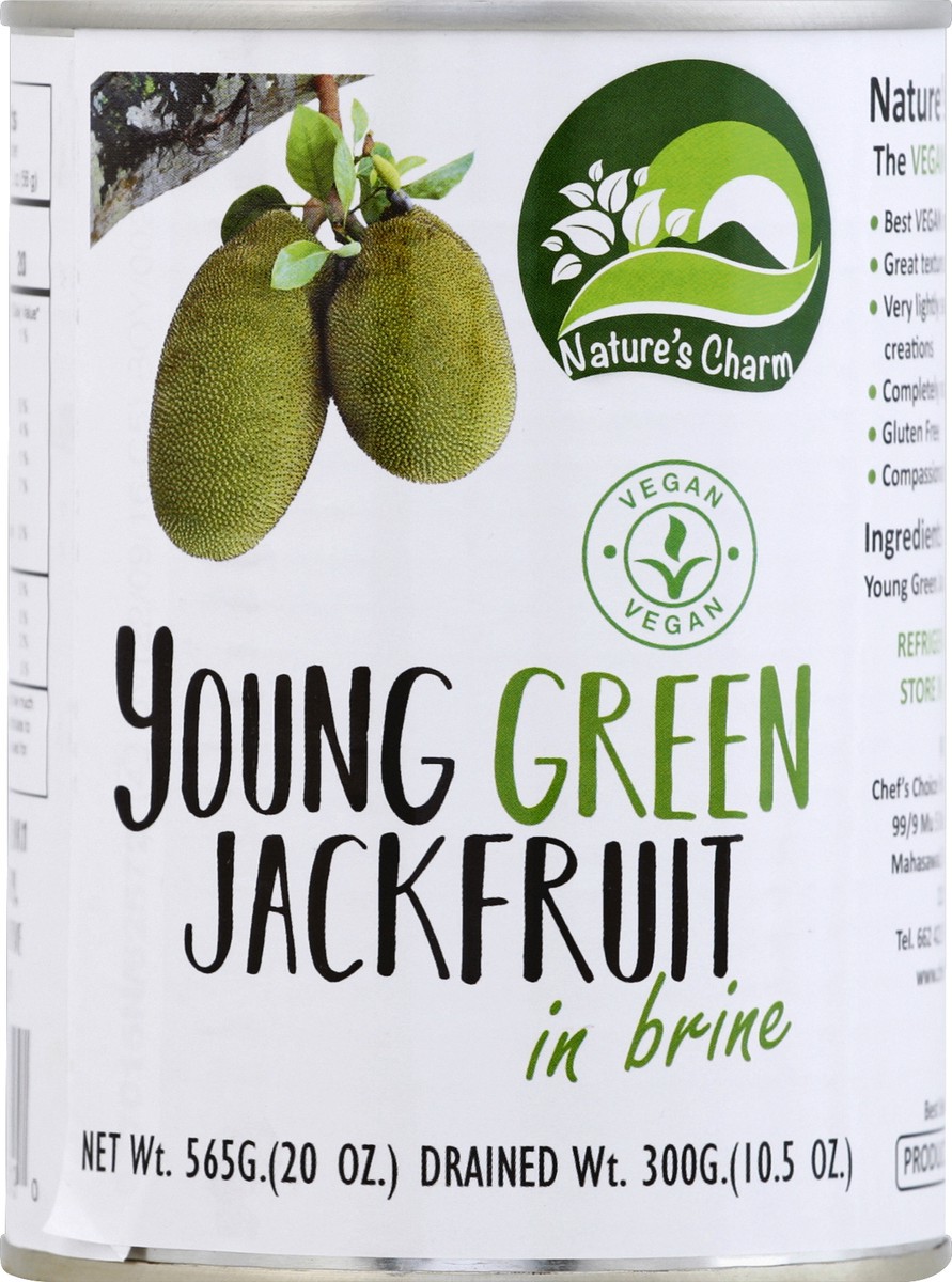 slide 2 of 2, Nature's Charm Young Green Jackfruit in Brine, 20 oz