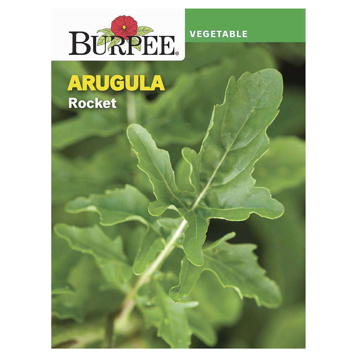 slide 1 of 1, Burpee Arugula Rocket Seeds, 1 ct
