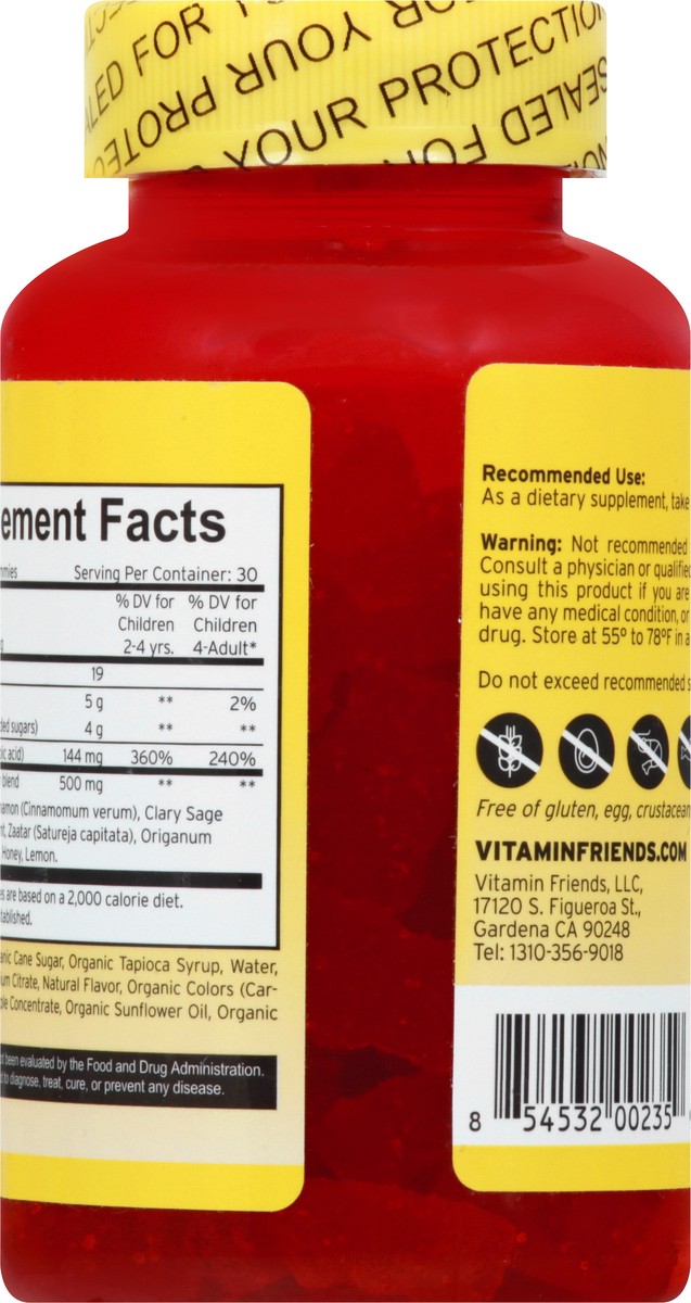 slide 3 of 12, Vitamin Friends Vegetarian Gummies Orange Flavor Boost Apetite 60 ea, 60 ct