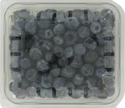 Fresh Blueberries