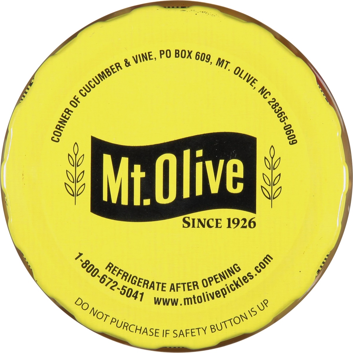 slide 4 of 9, Mt. Olive Deli Style Dill Relish, 16 oz