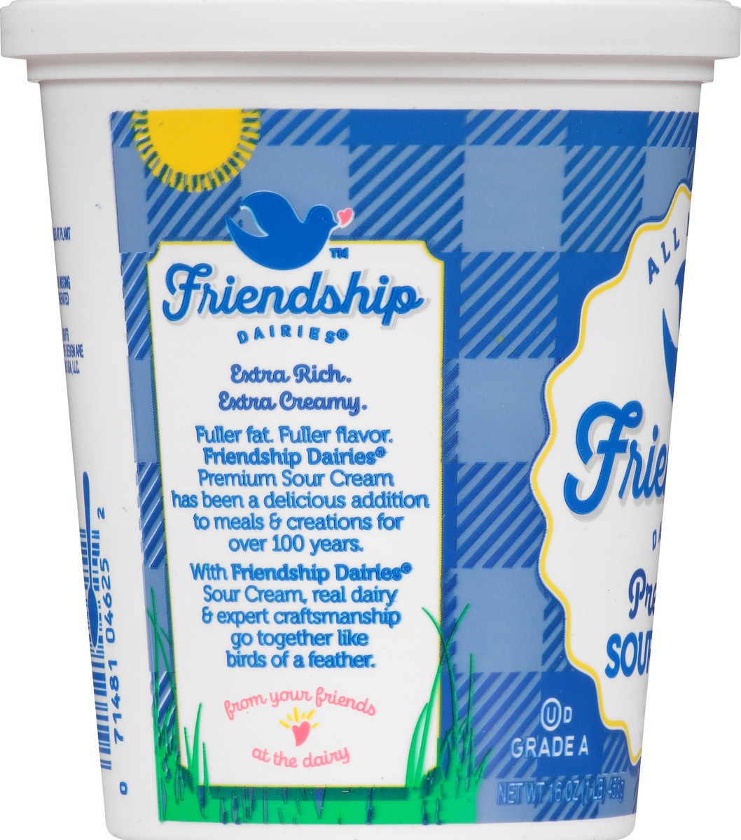 slide 7 of 10, Friendship Dairies Sour Cream, Premium, 16 oz