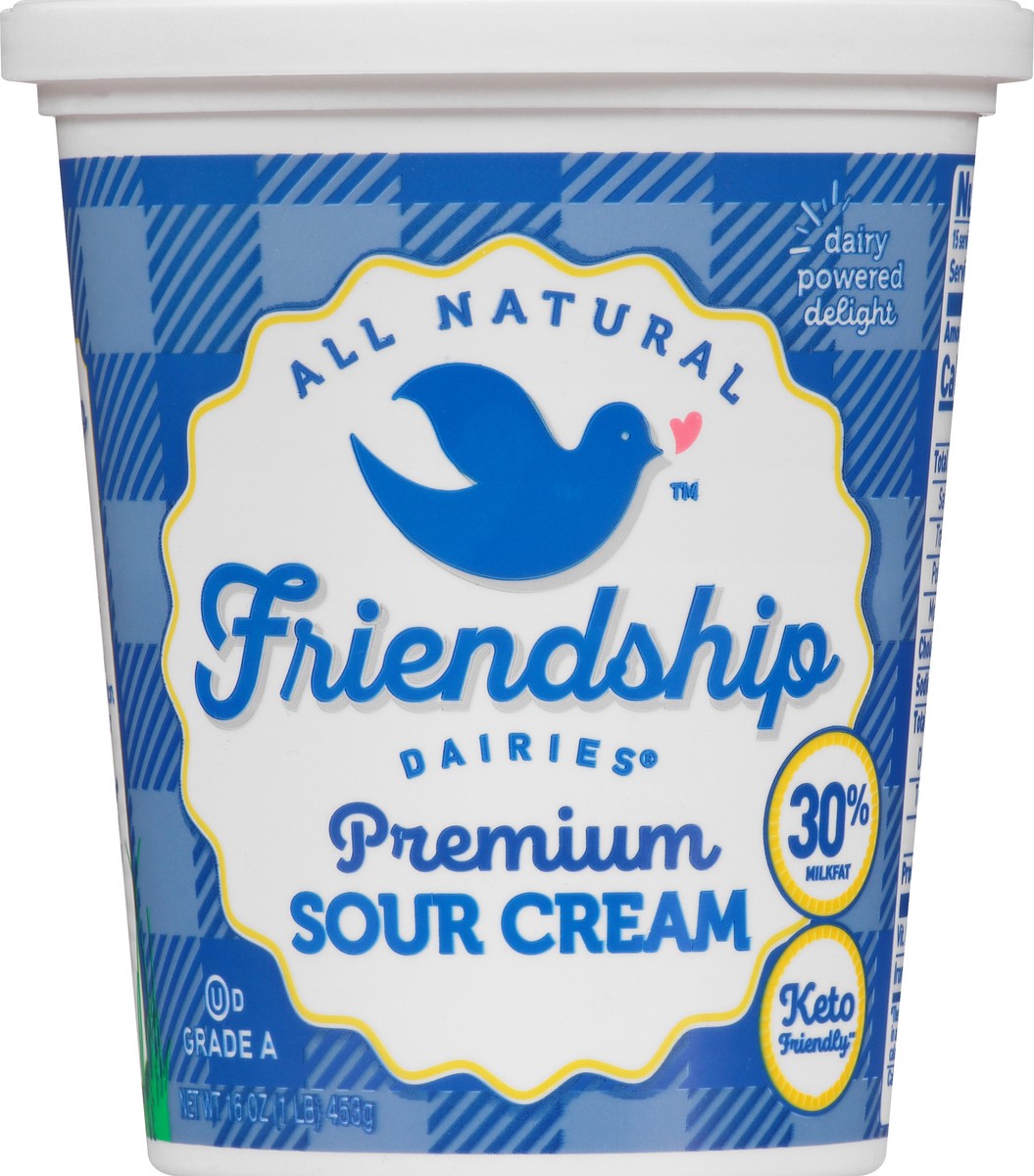 slide 9 of 10, Friendship Dairies Sour Cream, Premium, 16 oz