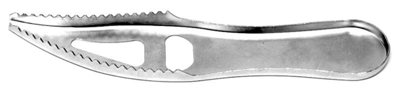 slide 1 of 1, Eagle Claw Fish Scaler, 1 ct