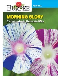 Burpee Morning Glory Carnivale Di Venezia Mix Seeds