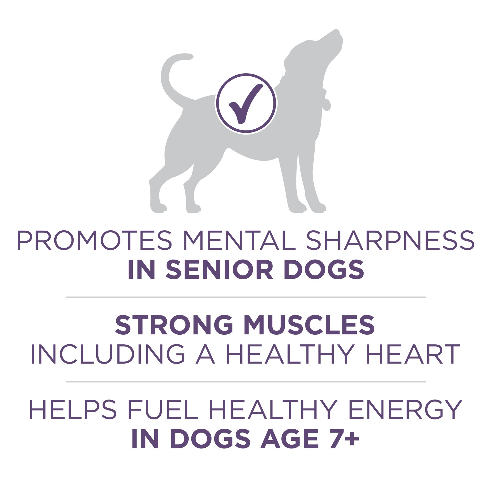 slide 7 of 8, ONE Purina ONE High Protein Dry Senior Dog Food Plus Vibrant Maturity Adult 7 Plus Formula, 8 lb